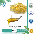 Mejor calidad precio 50% DHA Aceite de algas